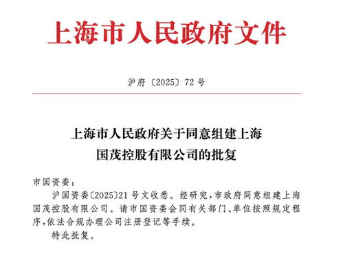 上海市政府批準成立注冊資本130億元新國企，聚焦計算機軟硬件技術研發